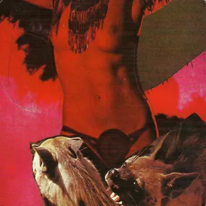 Heavy deavy skull lover